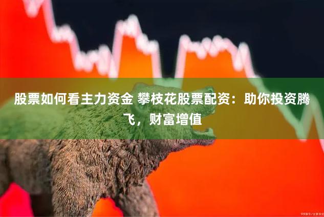 股票如何看主力资金 攀枝花股票配资：助你投资腾飞，财富增值