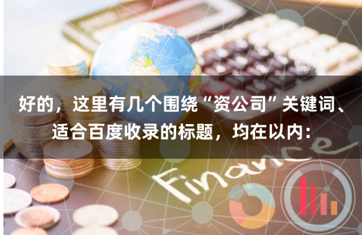 好的，这里有几个围绕“资公司”关键词、适合百度收录的标题，均在以内：