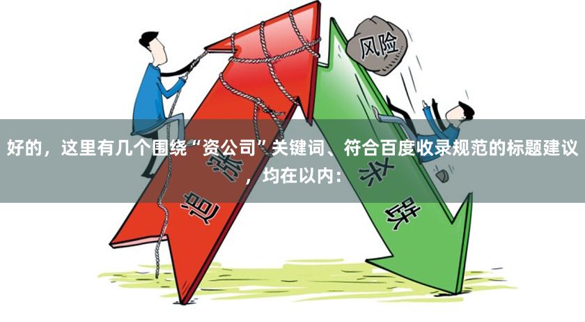 好的，这里有几个围绕“资公司”关键词、符合百度收录规范的标题建议，均在以内：